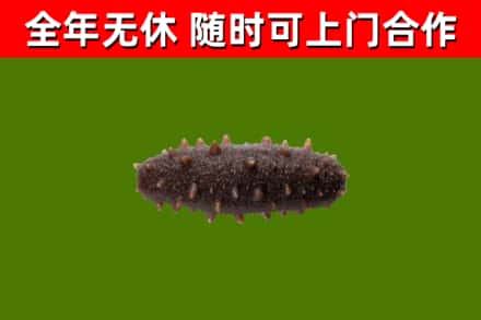 牡丹江市烟酒回收干海参.jpg